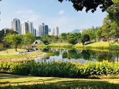 -四海公园(南山区)
