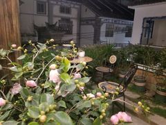 -兰纳泰式spa(古城店)