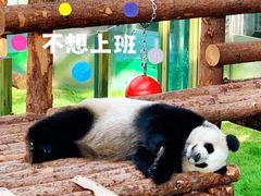 -大连森林动物园