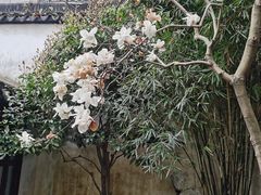 -苏州园林博物馆