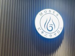 -MUSES专业脱毛比基尼サロン日式连锁