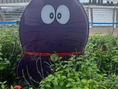 -星光大道