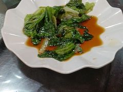 -东鸽皇(奥园·中环广场店)