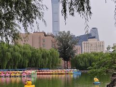 -团结湖公园