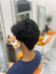 -豪斯塔美发连锁