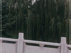 -渭滨公园