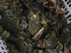 -钱大妈海鲜饭店(保利林语店)