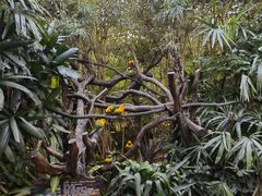 -广州长隆国际大马戏