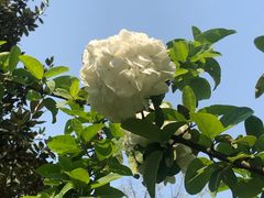 -白塘生态植物园