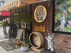 -豆逗聊愈猫阁Easy Life