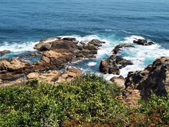 -南国锋味椰子鸡(瀚海店)