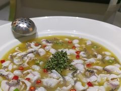 -青花椒花椒鱼(合生汇店)