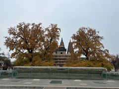 -北京石刻艺术博物馆(五塔寺)