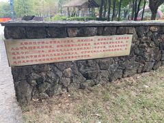 -王借岗森林公园
