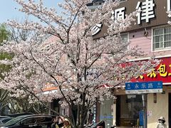 -永乐路-路侧停车场