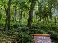 -南京金牛湖风景区