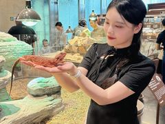 -帕帕拉兹宠物(亚洲旗舰店)