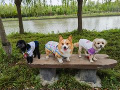 -广富林郊野公园