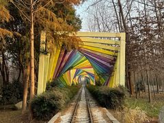 -合肥滨湖国家森林公园