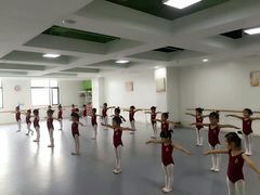 -西安小天鹅艺术团(金花路校区)