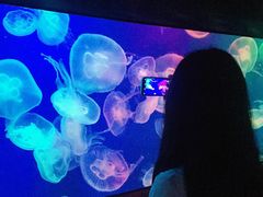 -成都浩海立方海洋公园