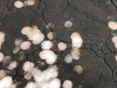 -芜湖方特东方神画