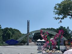 -南山植物园