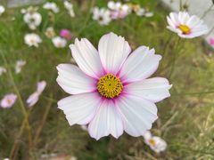 -汉长安城未央宫国家考古遗址公园