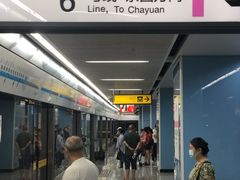 -大龙山(地铁站)