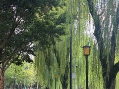 -温江公园