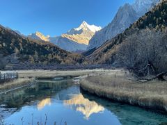 -稻城亚丁景区-冲古草甸