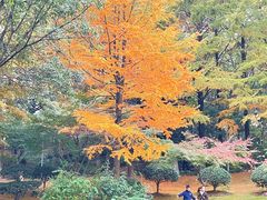 -峙山公园