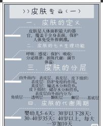 点击看大图 -凡碧诗毛孔清洁收细
