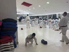 -极真空手道修远道场