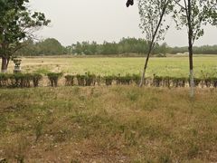 -汉长安城未央宫国家考古遗址公园