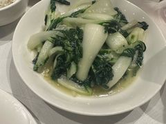 -峨嵋一派