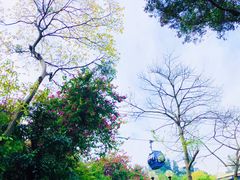 -白云山索道-售票处