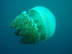 -多彩贵州城极地海洋世界