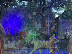 -清迈夜间动物园