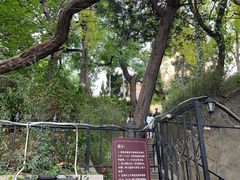 -青岛市江苏路基督教堂