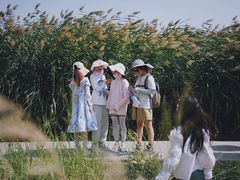 -水洞沟旅游区