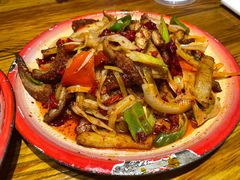 -柴窝堡22号辣子鸡·传承新疆菜