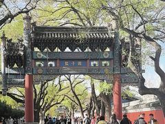 -北京国子监胡同