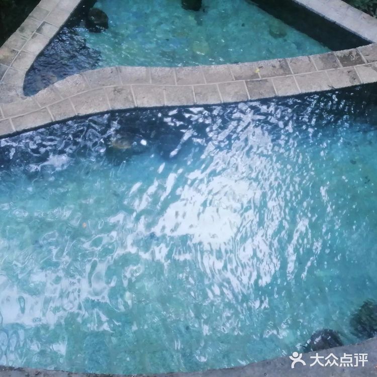 腾冲樱花谷森林温泉