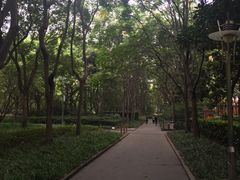 -徐家汇源景区-衡山公园