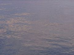 -滆湖低碳生态公园