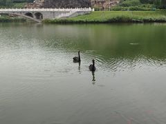 -河北省园博园