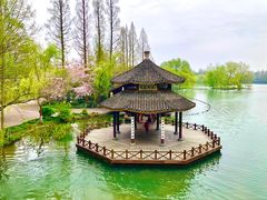 -茅家埠
