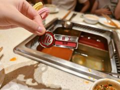 -海底捞火锅(吾悦国际广场店)