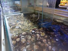 -四海蒸鲜蒸汽海鲜自助(北戴河店)